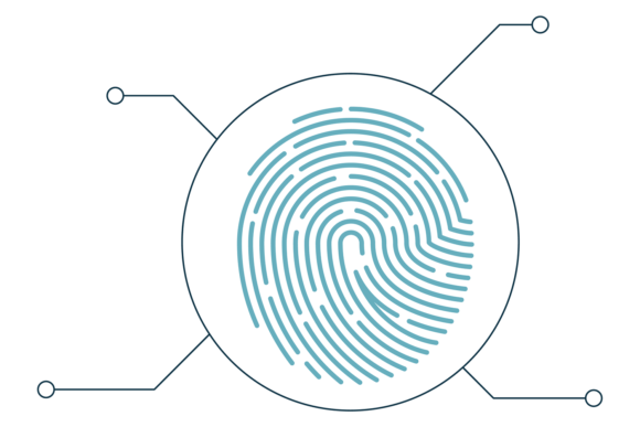 Fingerprint Infographic Template: Graphics & Illustrations